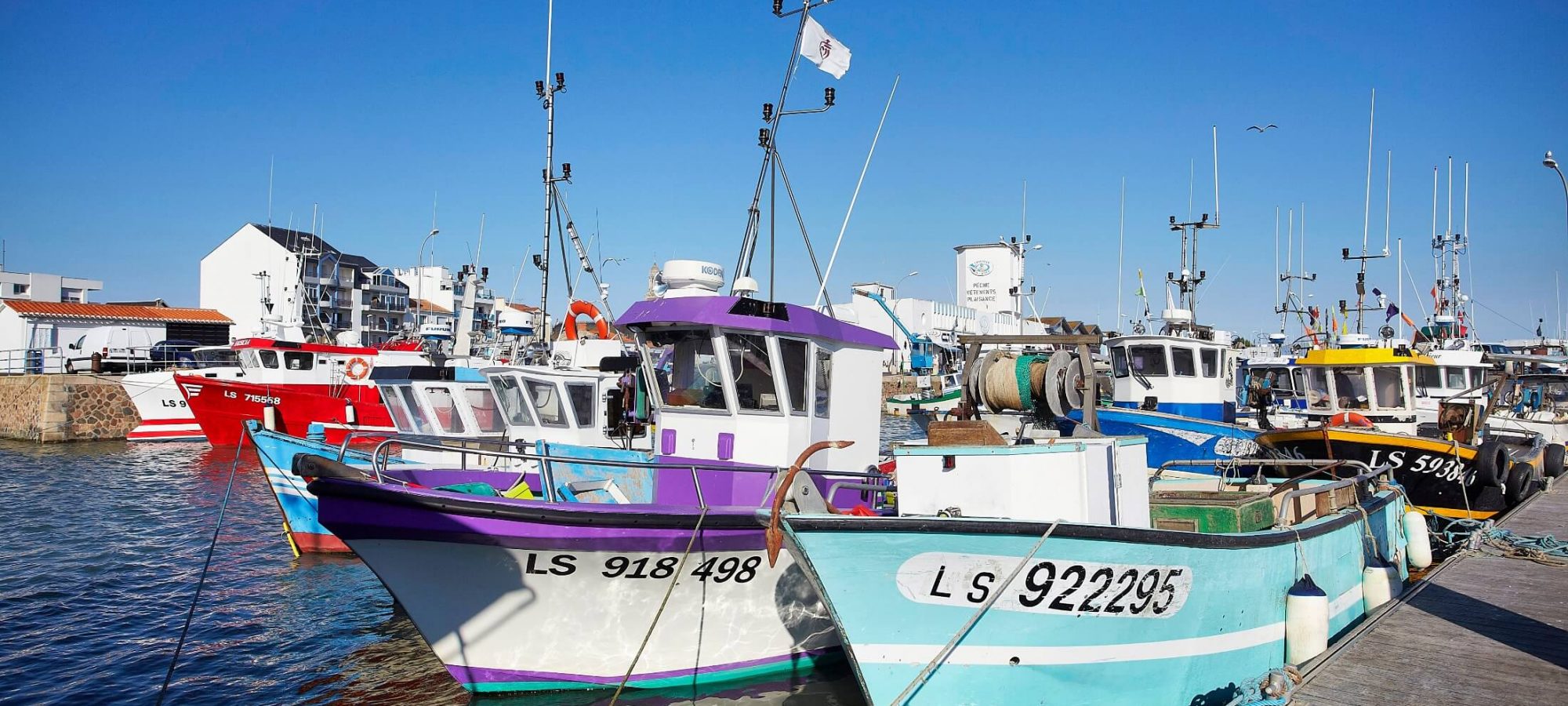 Embarquez pour une journée de pêche en mer ! - Office de Tourisme du Pays  de Saint Gilles Croix de vie