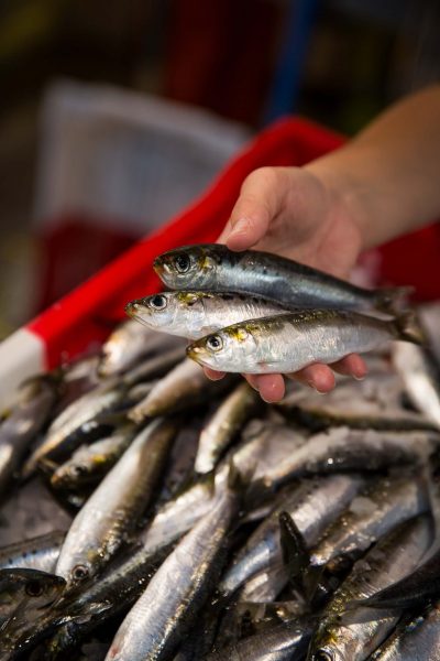 Marchés hebdomadaires