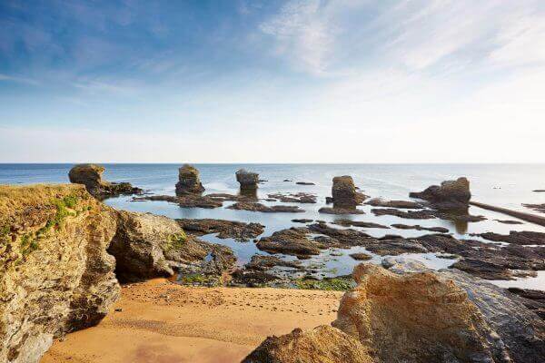 Les essentiels en 1 journée