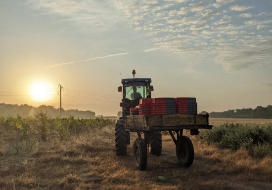 Domaine Saint Nicolas