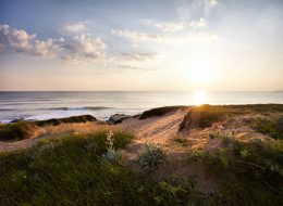 LA PAILLOTE D’ELIOTT