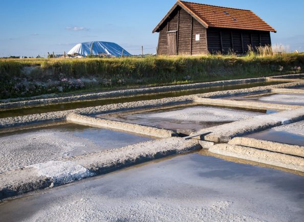 D’un marais salant à l’autre : de Saint Hilaire de Riez à Noirmoutier