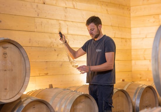 Domaine L’Orée du Sabia – Cave Bastien Mousset
