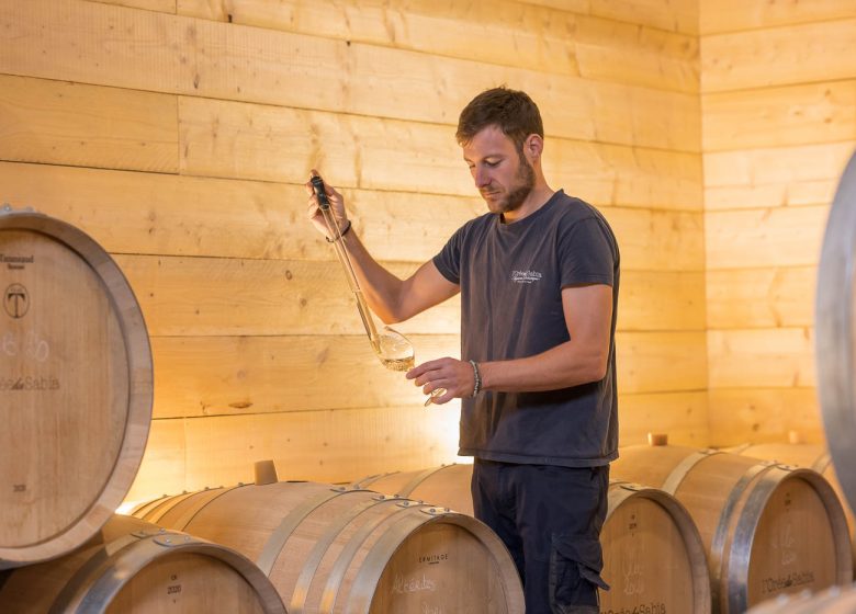 Domaine L’Orée du Sabia – Cave Bastien Mousset