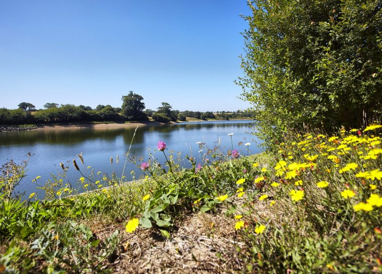 LAC DU GUÉ GORAND