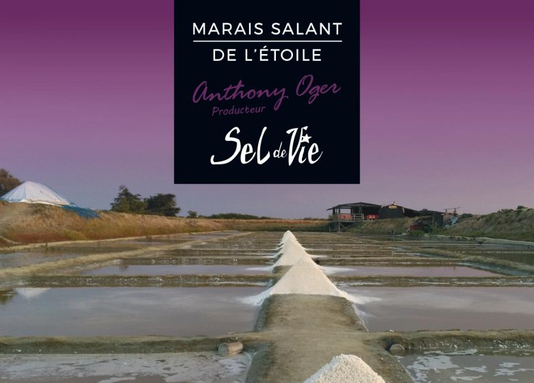 MARAIS SALANT DE L’ÉTOILE – SEL DE VIE