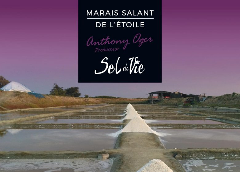 MARAIS SALANT DE L’ÉTOILE – SEL DE VIE