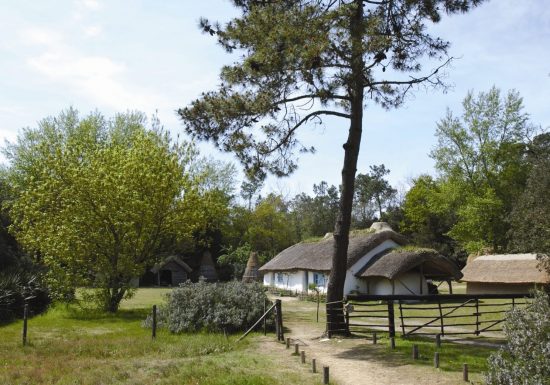 La Bourrine du Bois Juquaud