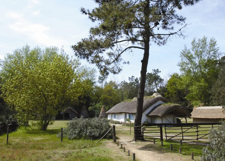 LA BOURRINE DU BOIS JUQUAUD