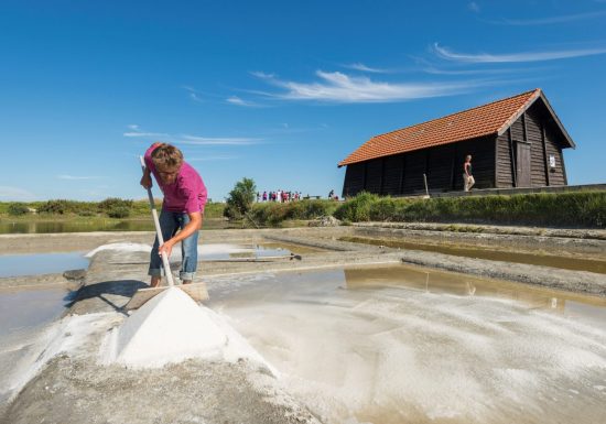 Marais salants de la Vie