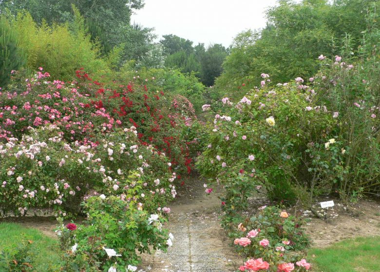 LA ROSERAIE DE VENDEE