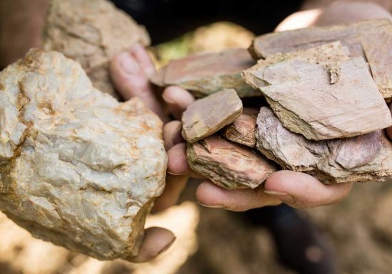 Domaine Saint Nicolas