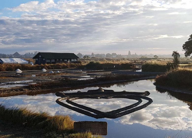 Les Salines – Parc d’aventure du sel