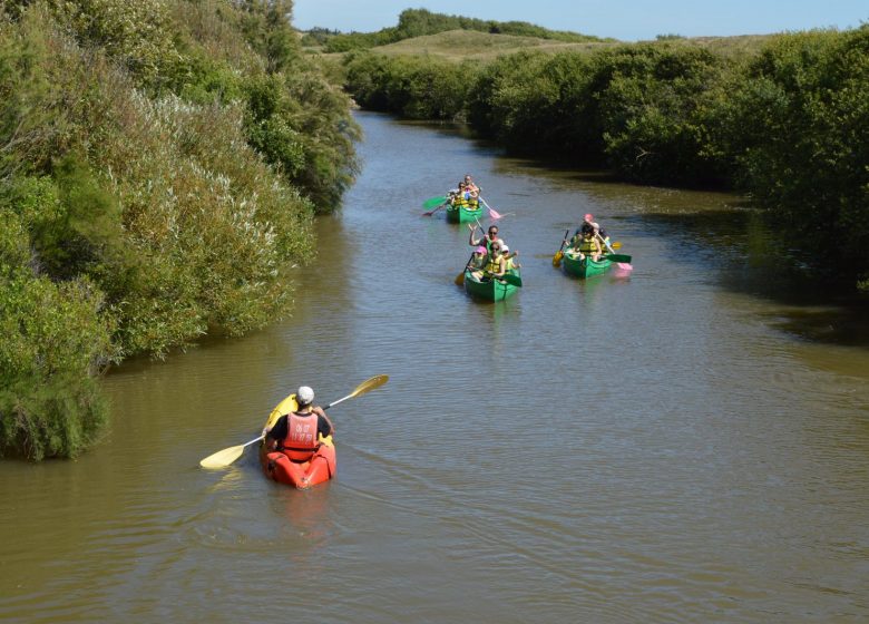 LES CANOES DU MARAIS