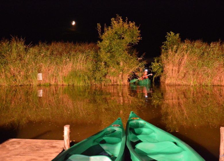 LES CANOES DU MARAIS