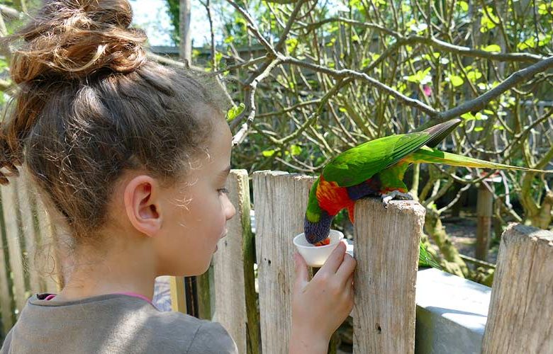 Zoo des Sables