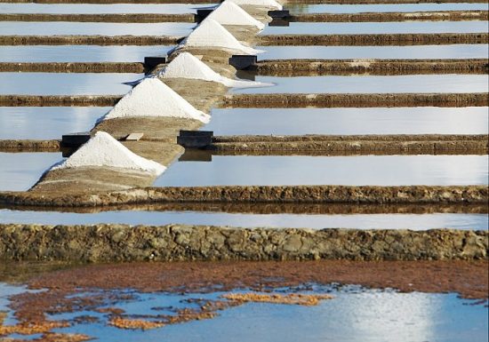 Marais salants de la Vie