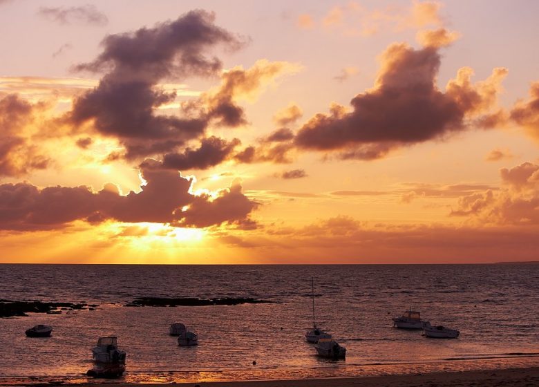 GRANDE PLAGE DE SION