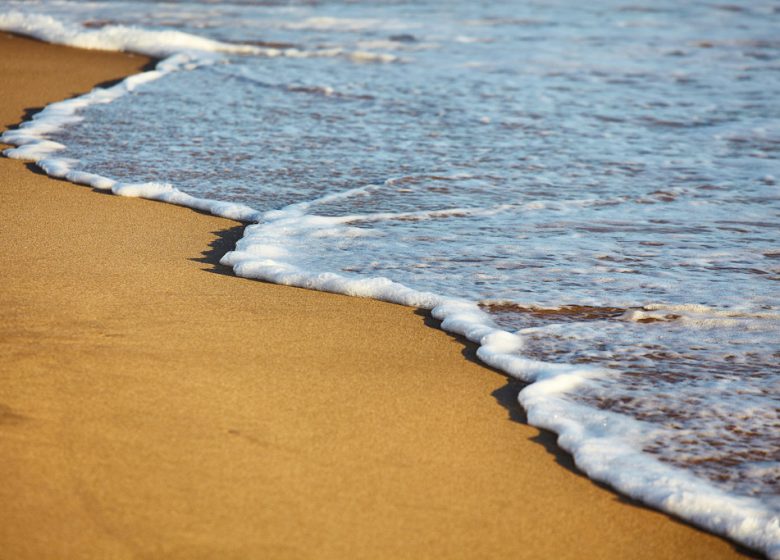 PLAGE DE LA PELLE A PORTEAU