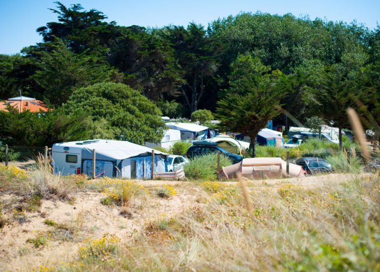 CAMPING LES CYPRES