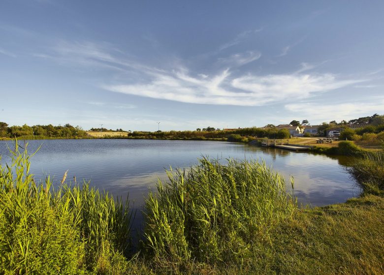 PARC DES MORINIÈRES