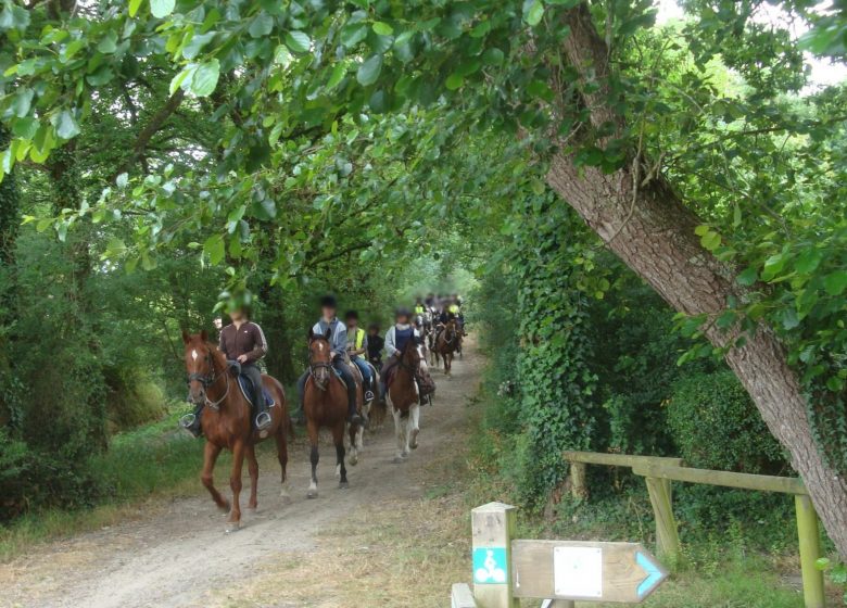 CENTRE EQUESTRE DE L’AUMARIÈRE