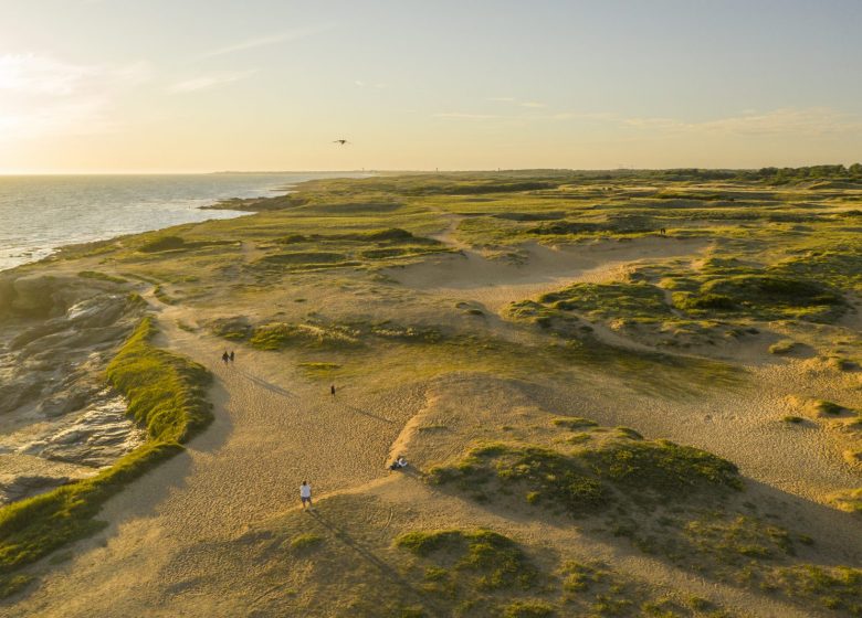 LES DUNES DE LA SAUZAIE – LE JAUNAY