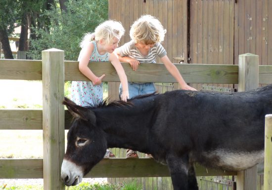 MOULIN DES GOURMANDS