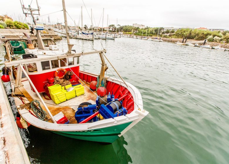 PORT DE PÊCHE