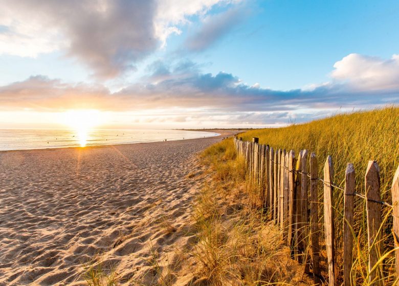 GRANDE PLAGE DE SION