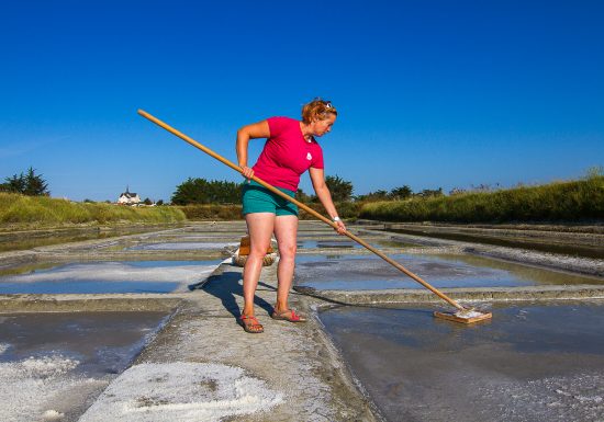 Marais salants de la Vie