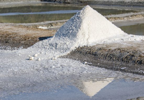 Marais salants de la Vie