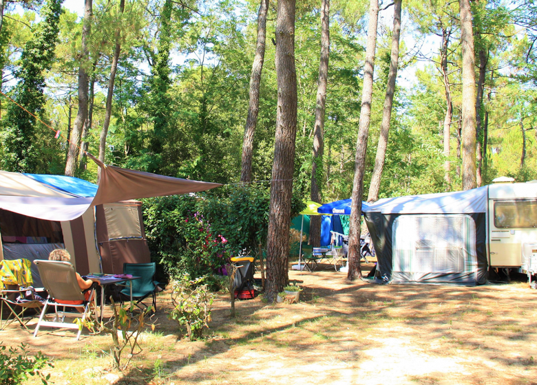 Camping Les Pinèdes de la Caillauderie