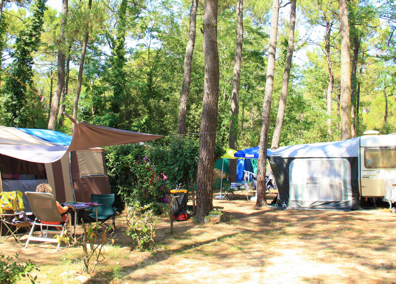 CAMPING LES PINÈDES DE LA CAILLAUDERIE