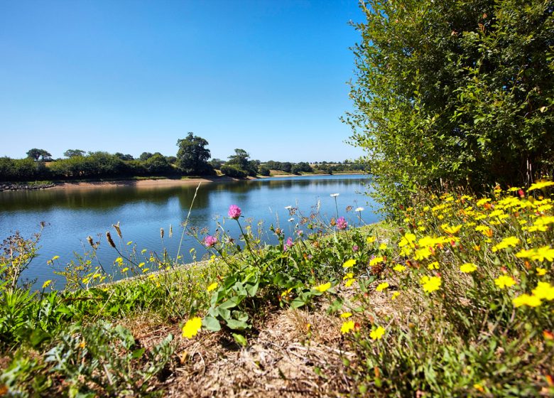 CIRCUIT DU LAC DU GUÉ GORAND N°10