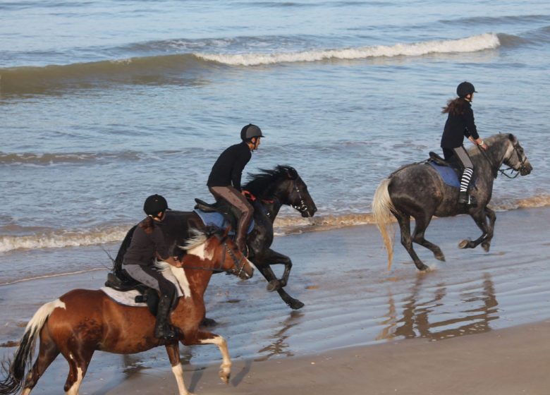 LA CHEVAUCHÉE DES DUNES