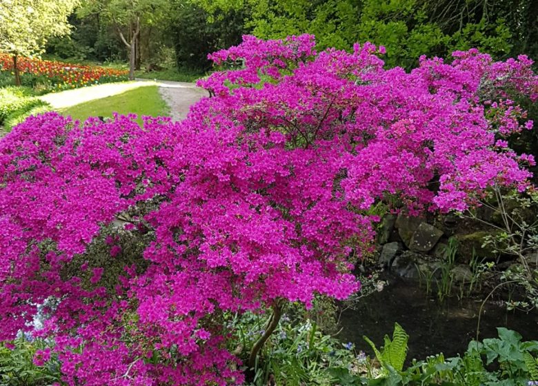 PARC FLORAL ET TROPICAL DE LA COURT D’ARON