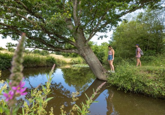 BOUCLE N°8 – LA CHAIZE GIRAUD