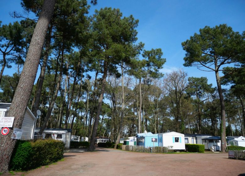 CAMPING L’ORÉE DES PINS