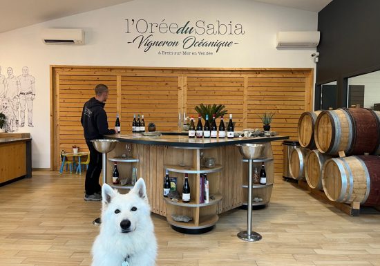 Domaine L’Orée du Sabia – Cave Bastien Mousset