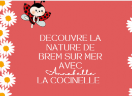 DÉCOUVRE LA NATURE DE BREM AVEC ANNABELLE LA COCCINELLE À PIED
