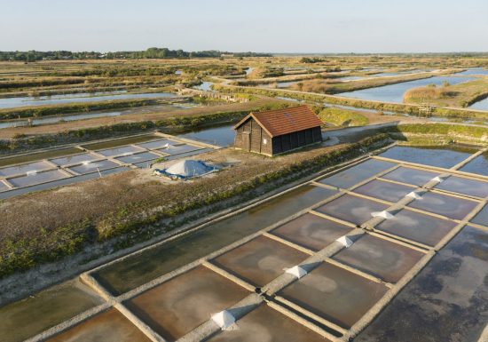 Marais salants de la Vie