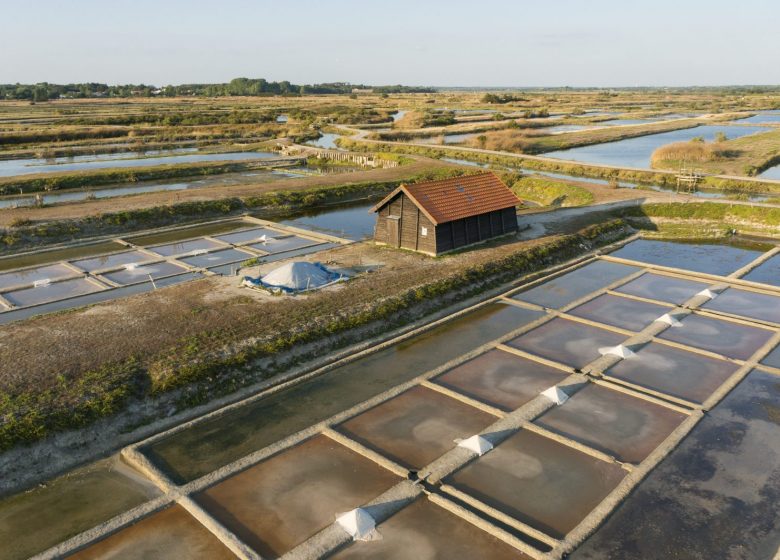 MARAIS SALANTS DE LA VIE